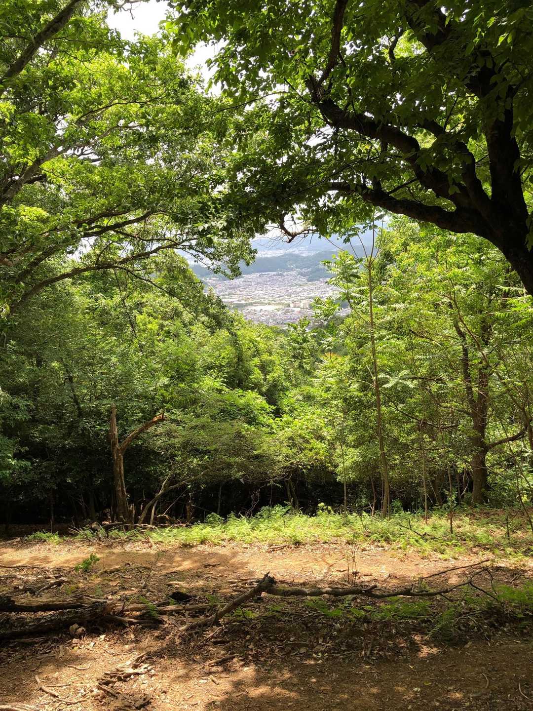 山行中唯一臨めた景色。
