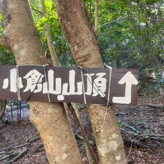 小倉山到着。
アスファルトの道がほとんど。