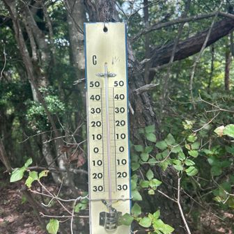 30℃ちょい切る