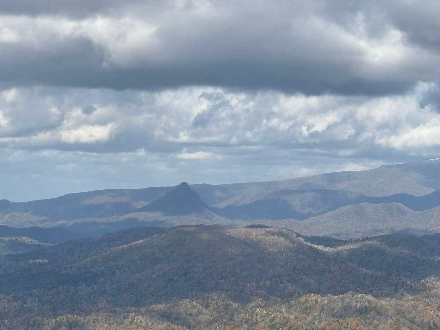 黄金山か？