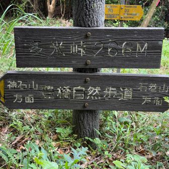 多米峠到着