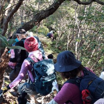 激下り。
登山道はアップダウンの連続。