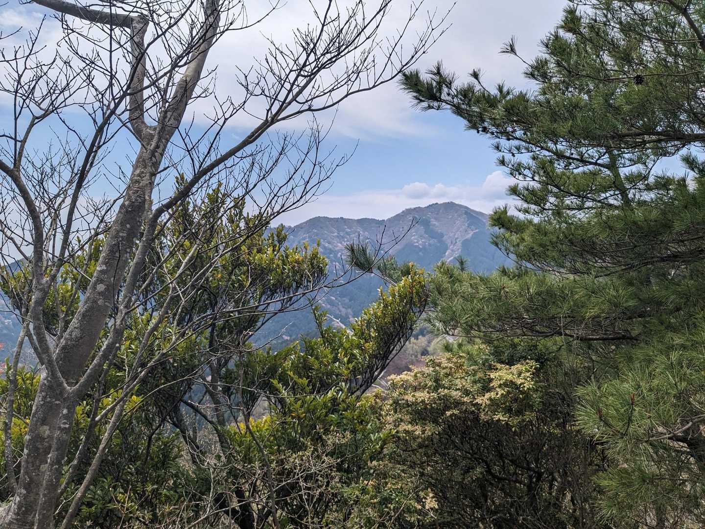 観音岳 周回コースの写真