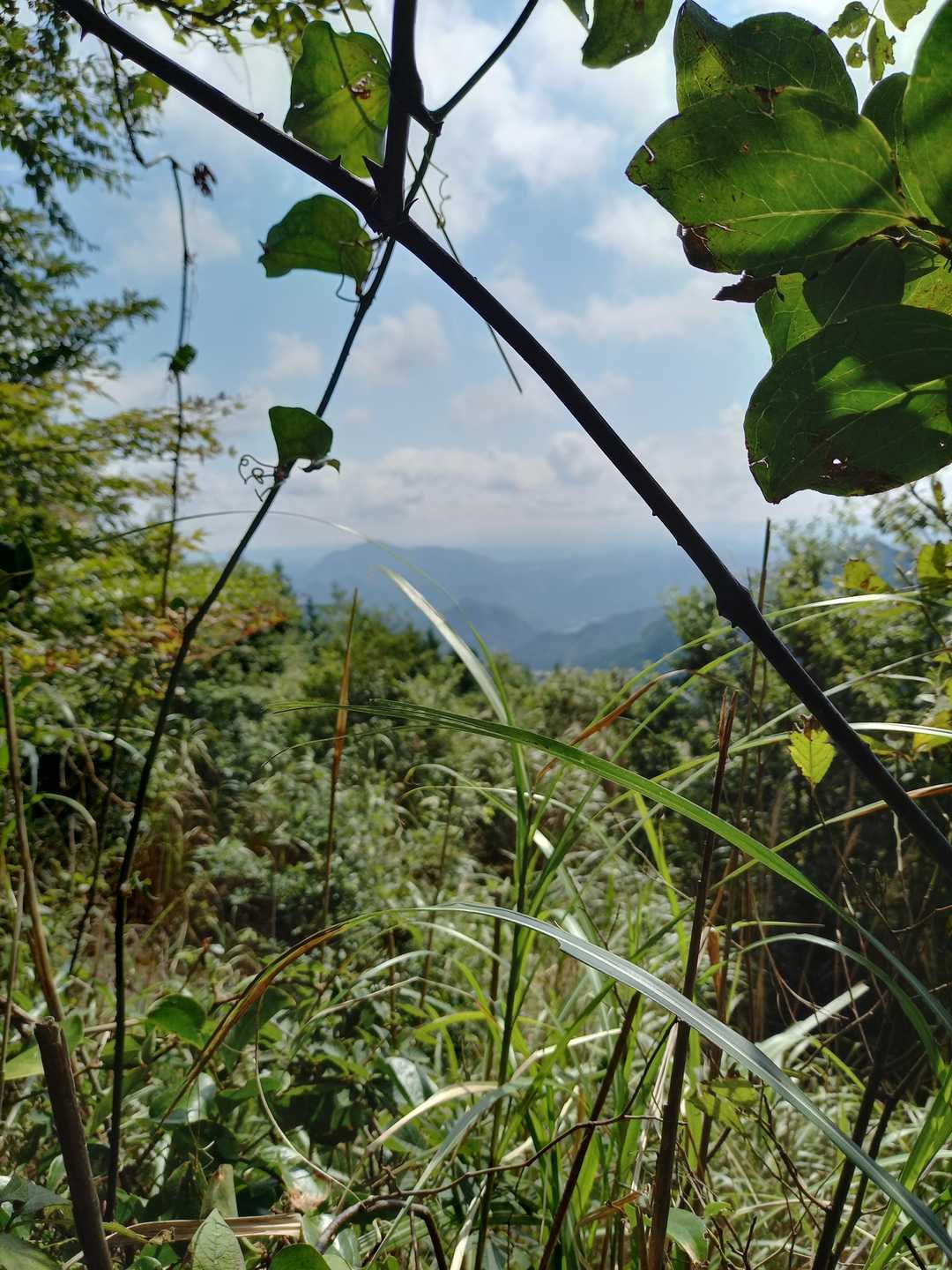 鹿熊岳がチラッと見えた😉