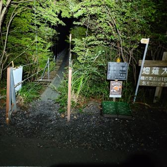 きました。名物大吊橋。
