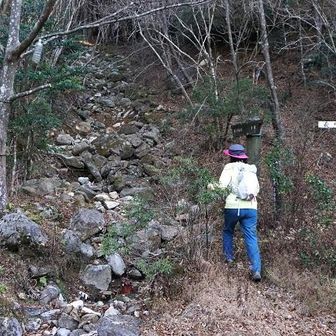 ようやく本来の登山口へ到着。ここから約500mとあります。