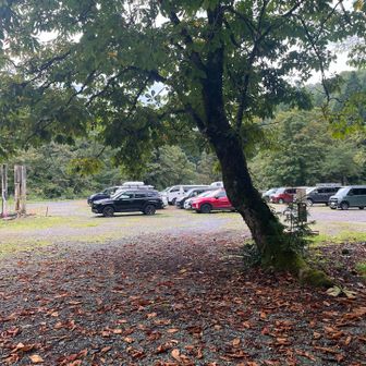 はい、下山完了
途中で雨は上がりました