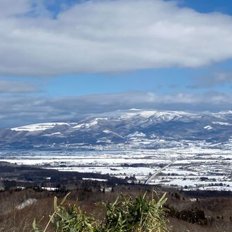 今日はあんまり景色撮ってないけど綺麗