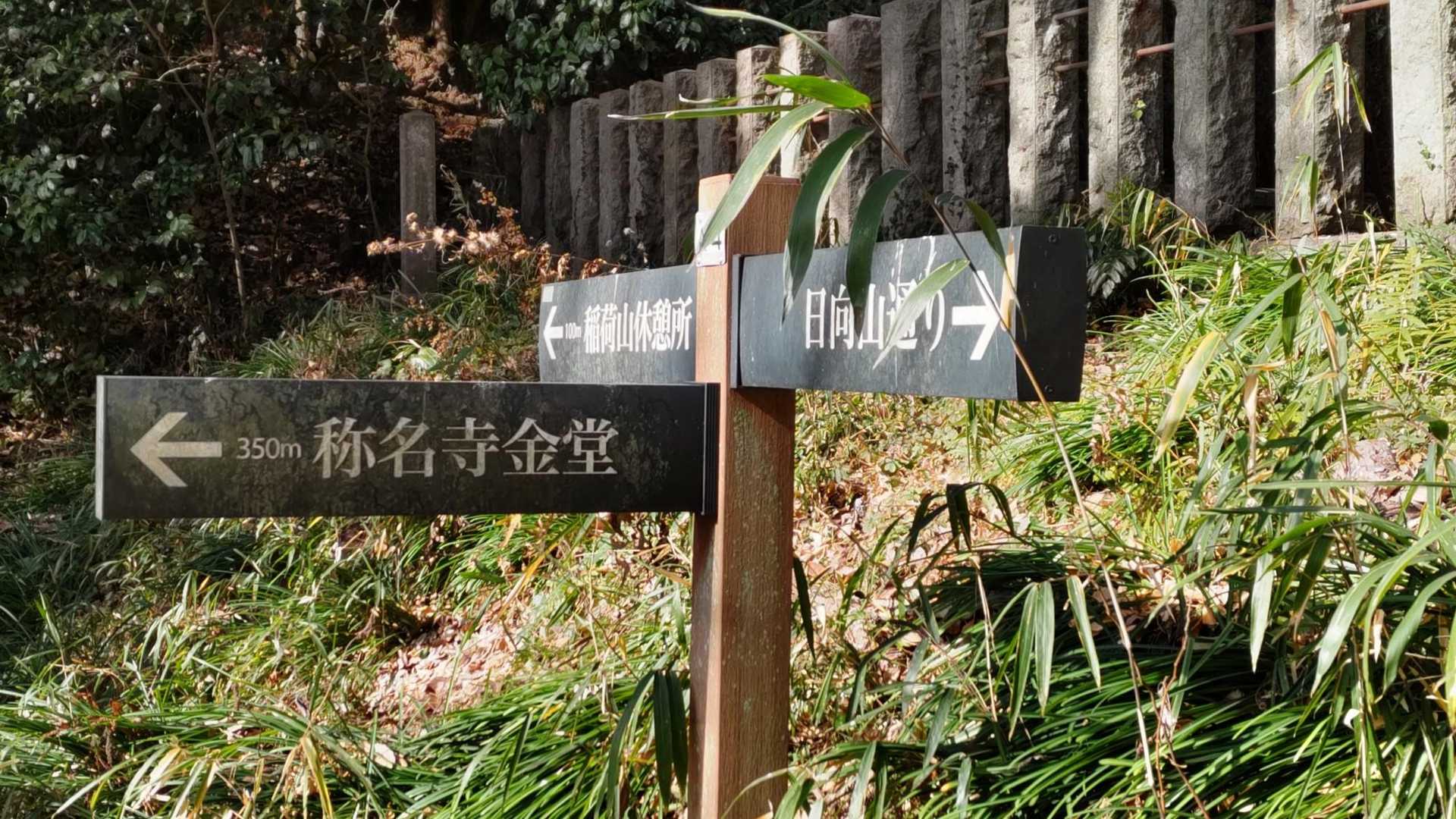 この辺りが③日向山🏔