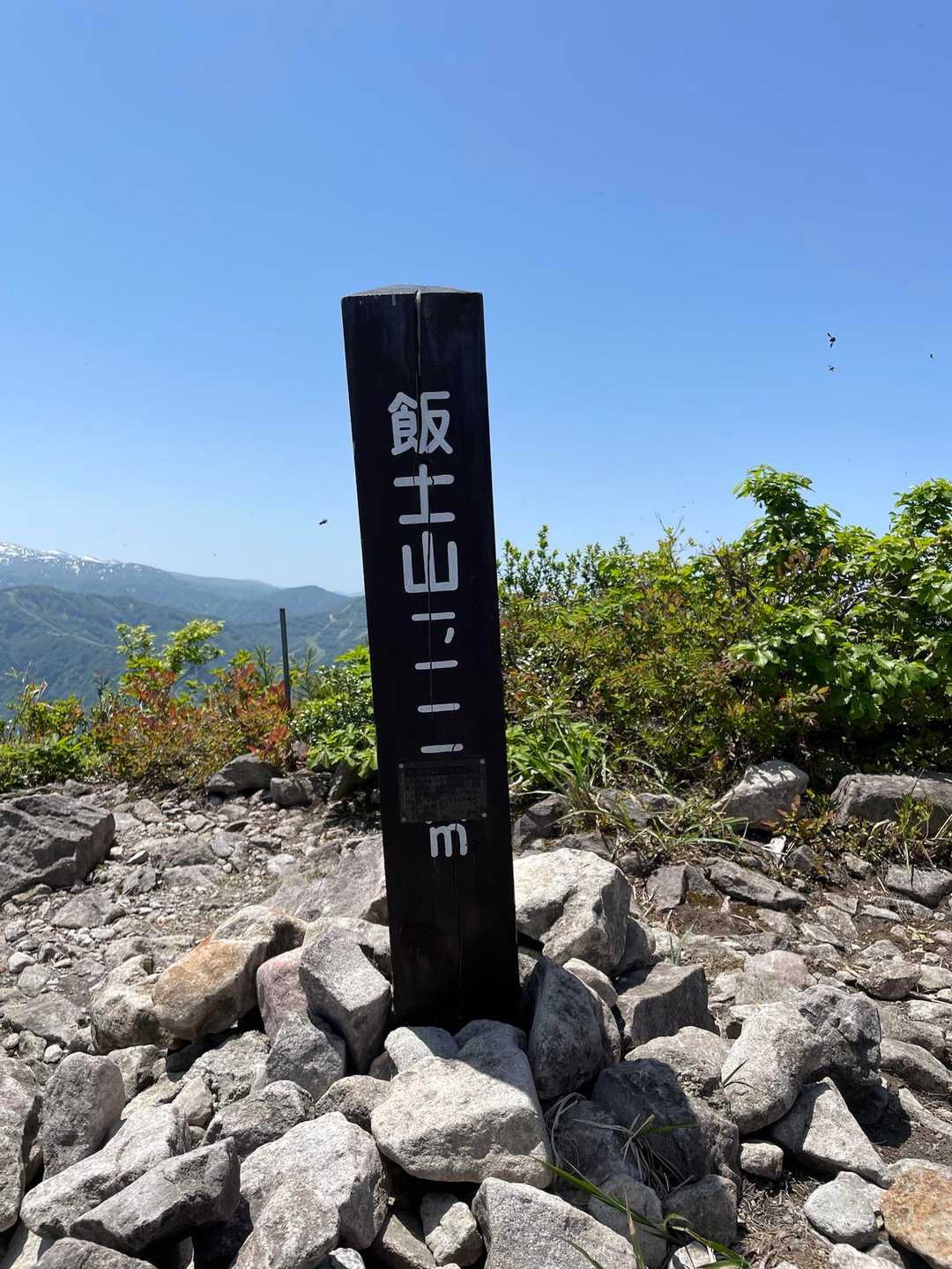 登頂🙌