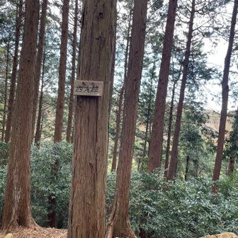 西大峰（大峰高峰）というピーク。