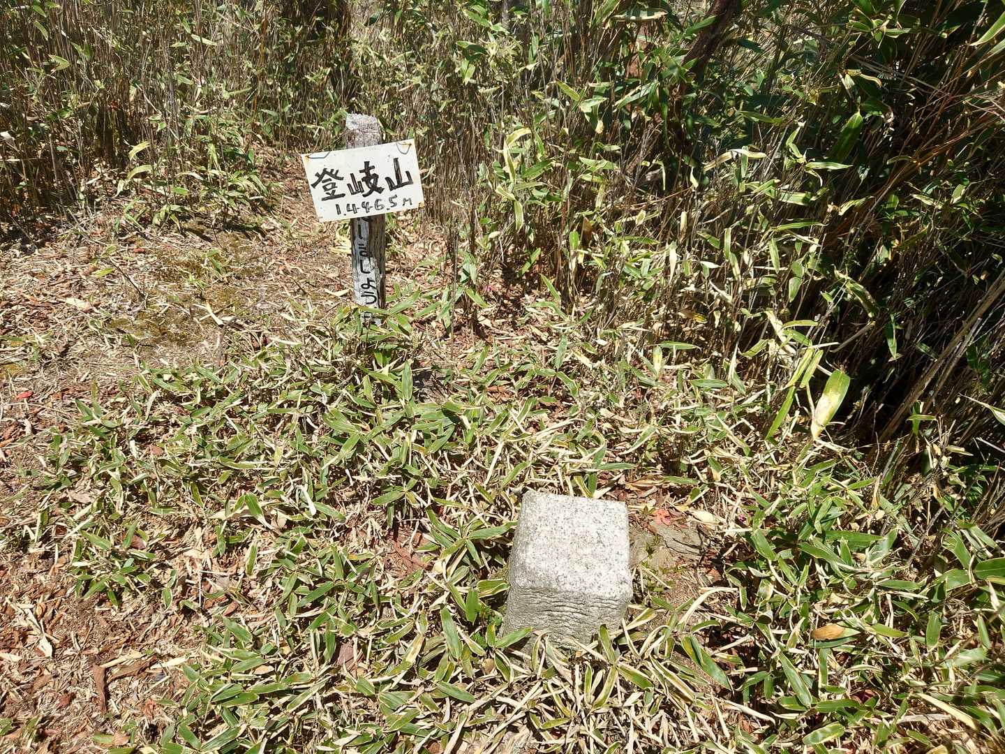 目の前の笹薮を少し下り祈願の登岐山到着。
三等三角点。