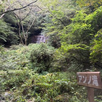 登山道使って下山

久しぶりに途中膝が痛くなった…泣