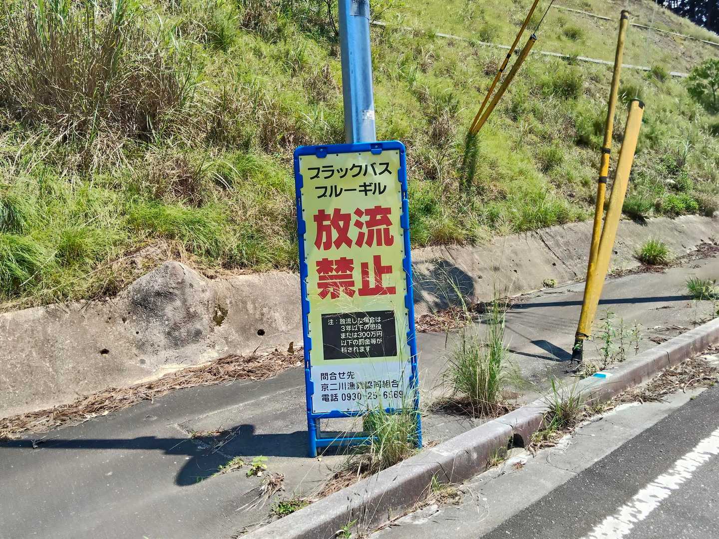 滑らずに無事下山
あ…日傘☂️を差すときにトゲ➢ ➣に向かって腕を差し出してしまった😿
ダムだねぇ〜🐟️