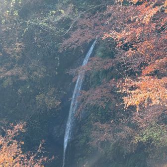 秩父華厳の滝でミッション終了☑️