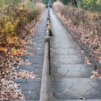 日本一かと思うほど長い階段。