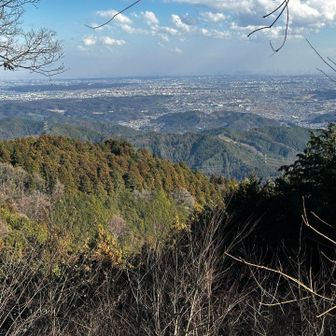 遥か都心を遠望する…