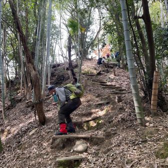 鎮海山への急登