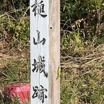 カマキリ
