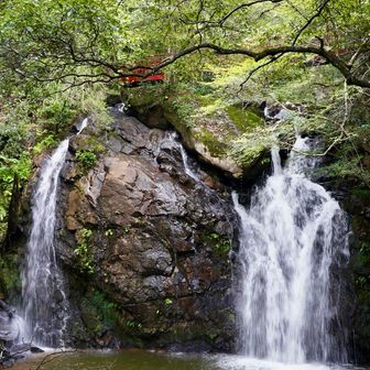 上の赤い橋が風情ある？