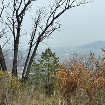 山頂からは春霞で、はっきり見えず