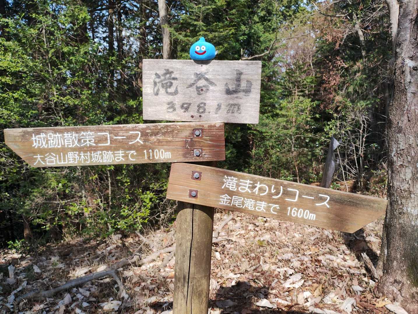 滝谷山獲ったどー＼(^o^)／