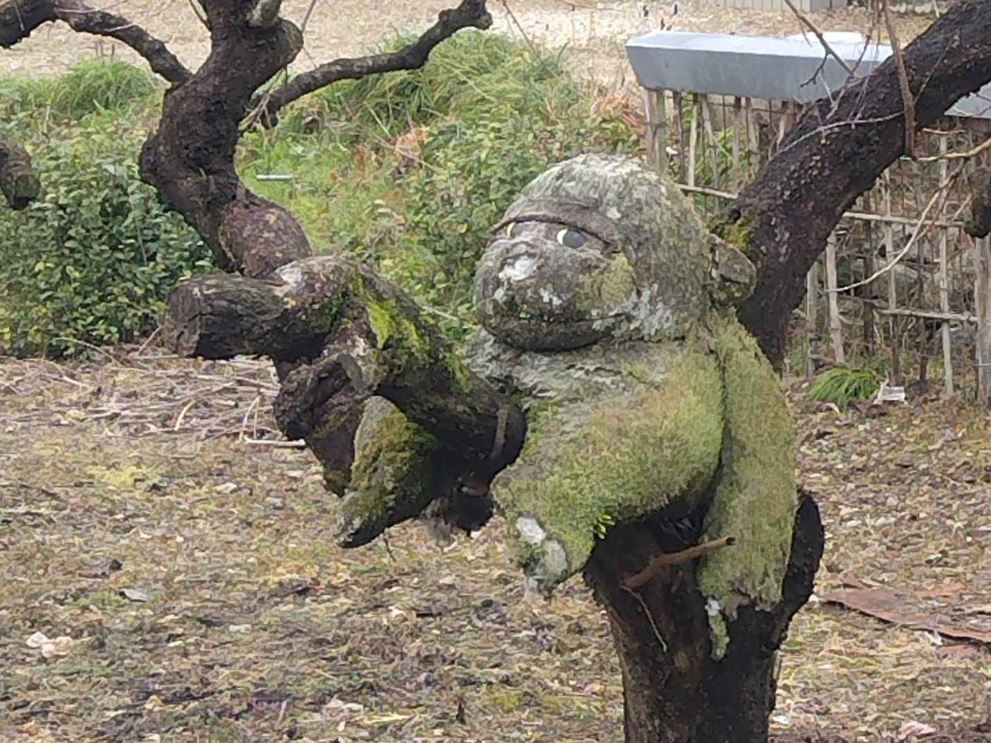 突然のゴリラ🐵
苔が生えて木と同化してる😳