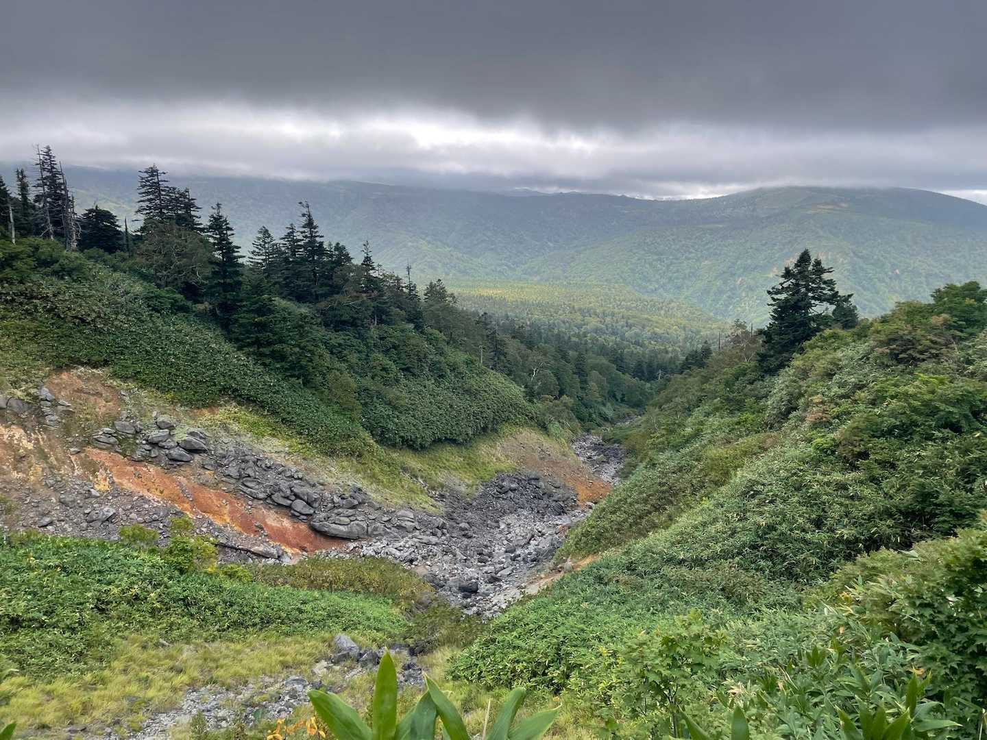 ここまで登山道はぐじょぐじょ💦
登山口駐車場に足洗い場があって助かりました。