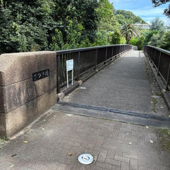 ここを渡ります