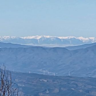 遠くアルプスも見えた