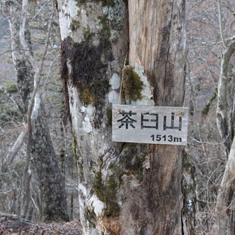 茶臼山頂上は道から少し逸れたところに