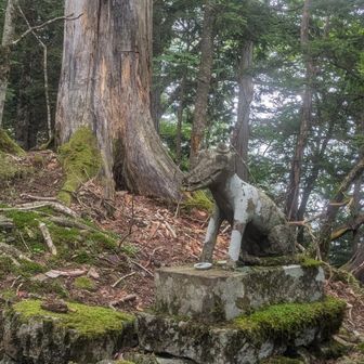 狛犬がお出迎え