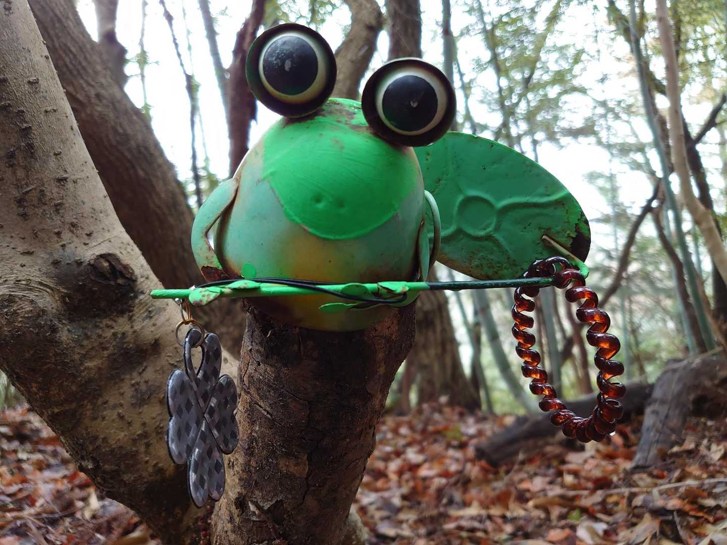 こんにちは🐸
本日の癒しです👍