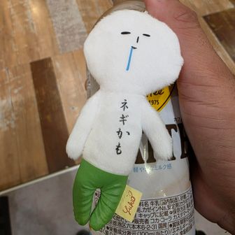やまもっち
