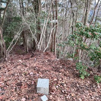 禿げの行者三角点🧘