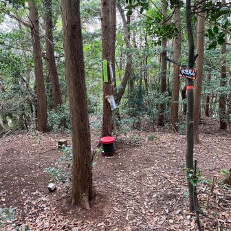 最後に水無月山へ。桜の花びらが落ちてました🌸
きょうはここまで。このあと鷲尾大権現に戻りました