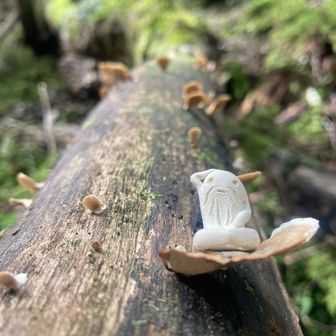 やまこ