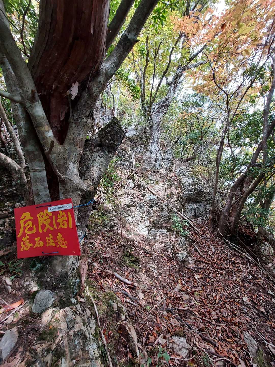 ロープゾーン
下山時に握りこぶし大の岩を落としてしまって😱誰もいなくて良かった😵