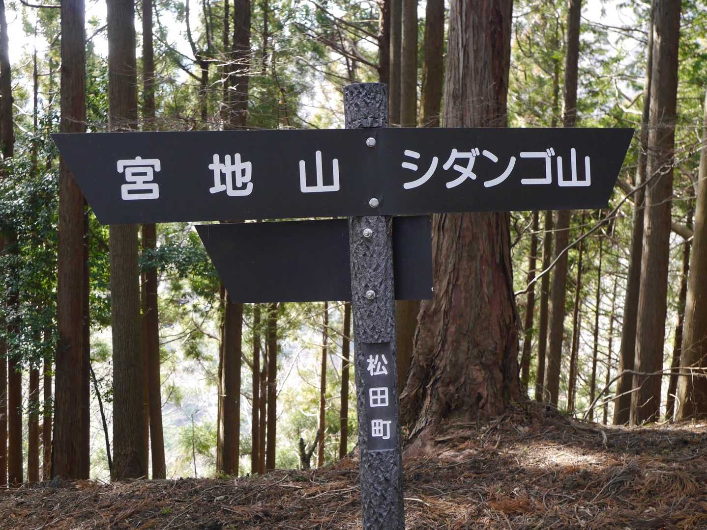 次はシダンゴ山へ〜