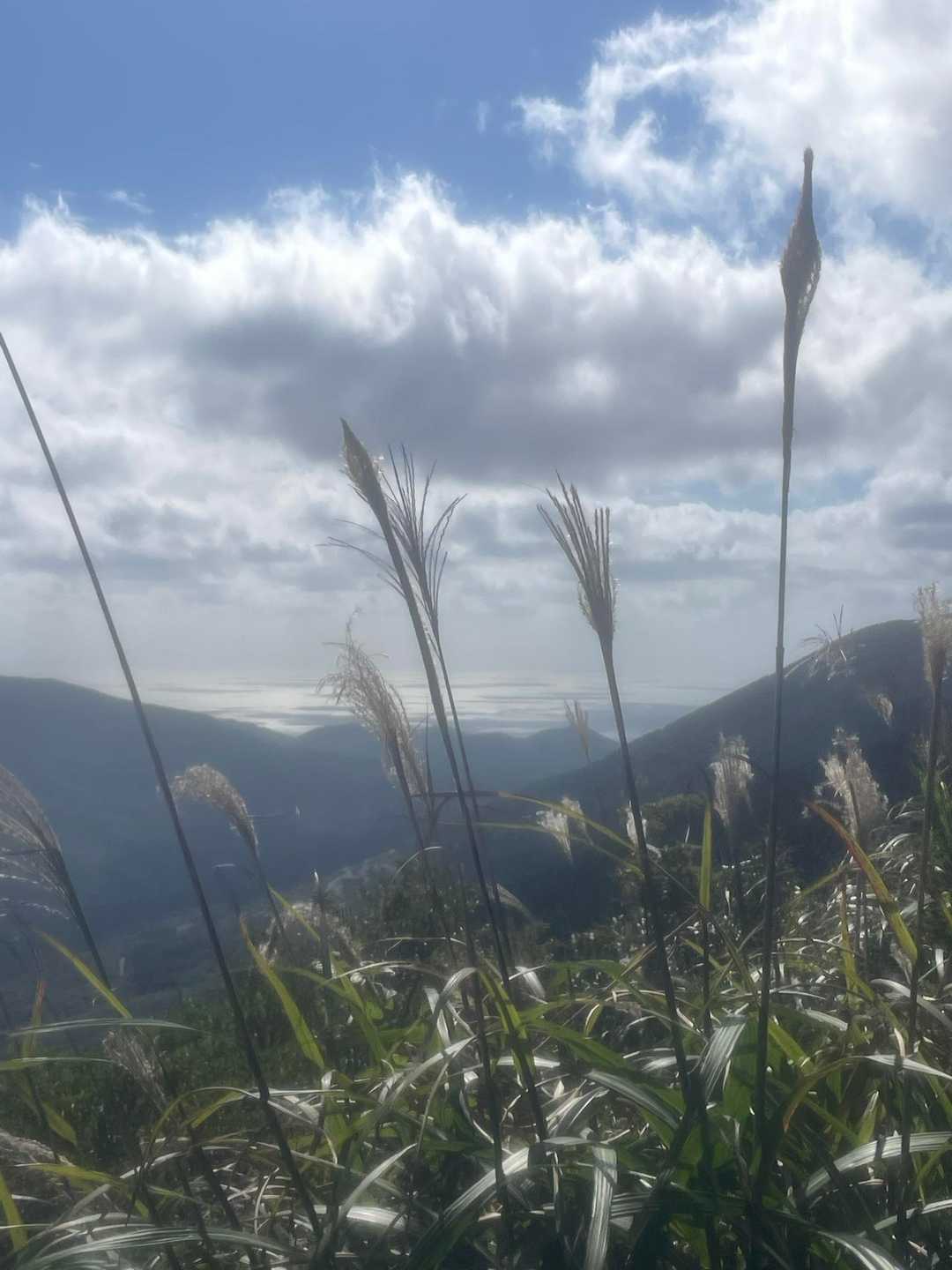 矢立山登山口-矢立山 往復コースの写真