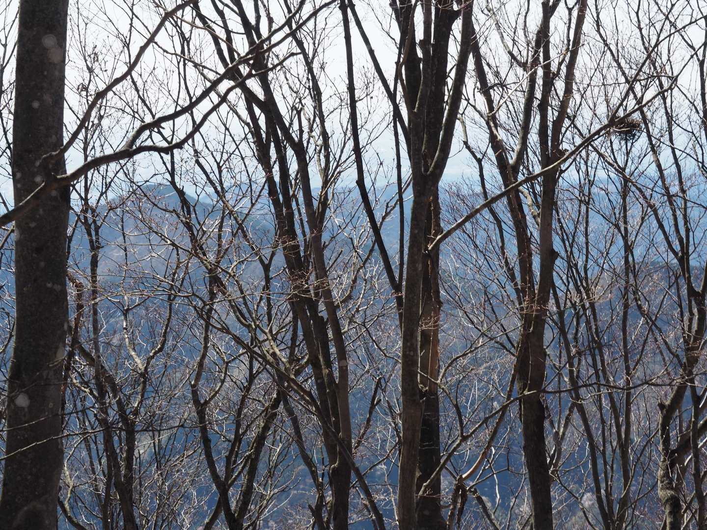 木々の間から、
見えにくいけど、先週登った棒ノ折山と、高水三山が見えてました。