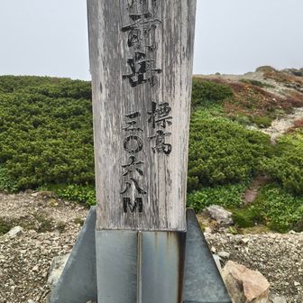 ぴょん
マッシロー…
進行中の大崩落地につきご注意を