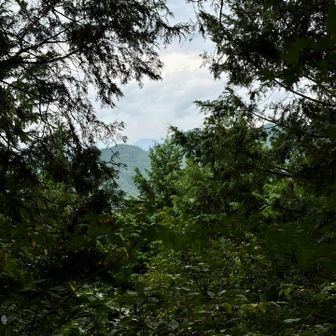 うっすらと高崎山。
こっちからやと、こんな山容なんやな。