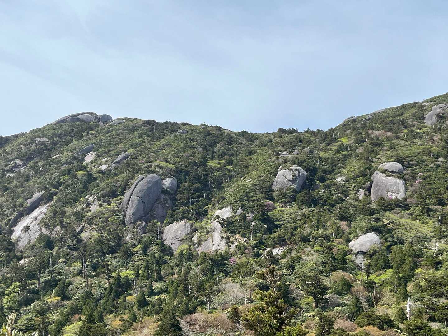 あるく🚶