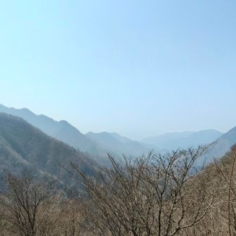 朝のバスでは富士山が見えていたけど犬越路に到着した時点で空がかなり霞んで富士山にはついぞ出会えず(; ;)