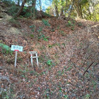 ここまで舗装路。この先が山道。