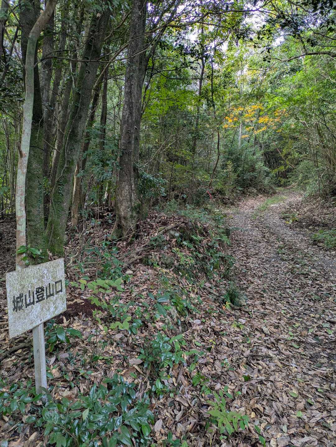 さぁ入山
林道のスタート