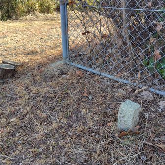 禅定寺山（大崩）　標高：310 m

これが三角点じゃろか？　よくわかりません。