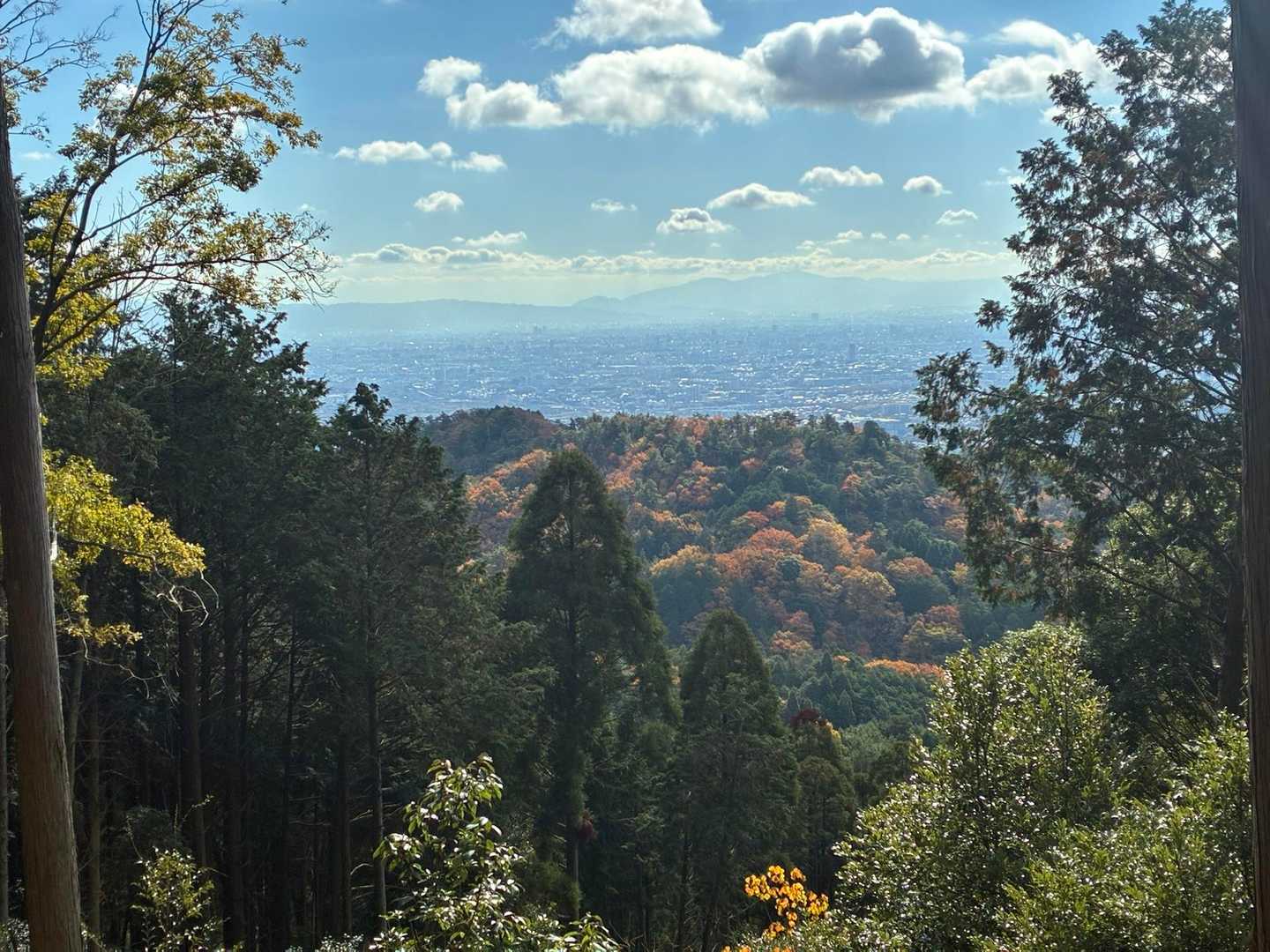 山のおもてなし｜箕面・東海自然歩道ハイキングの写真