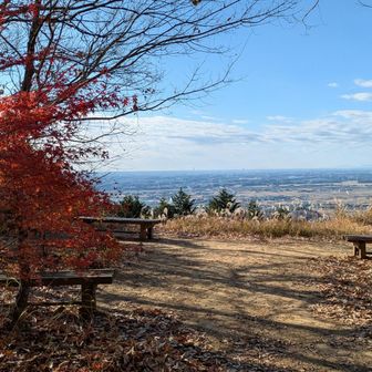 秋が少し残ってました🍁